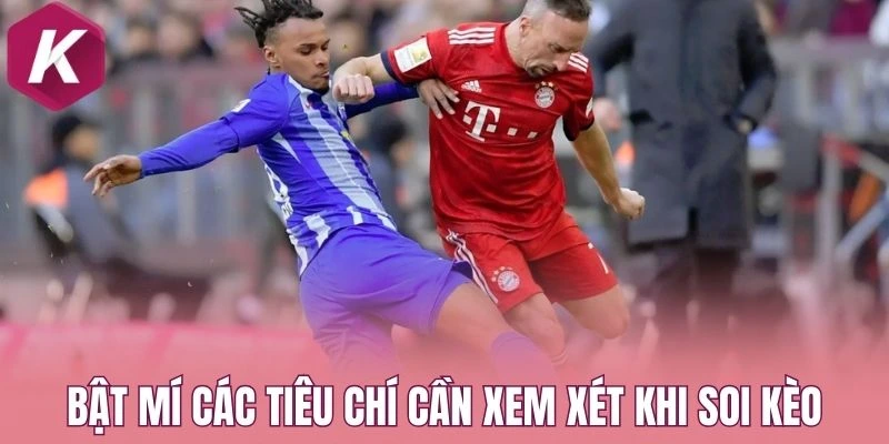 Bật mí các tiêu chí cần xem xét khi soi kèo