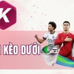 Có nhiều yếu tố ảnh hưởng đến kèo trên kèo dưới