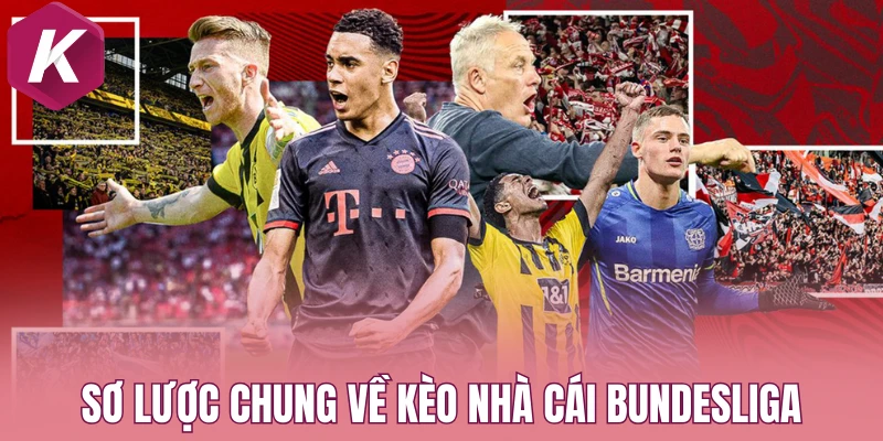 Sơ lược chung về kèo nhà cái Bundesliga